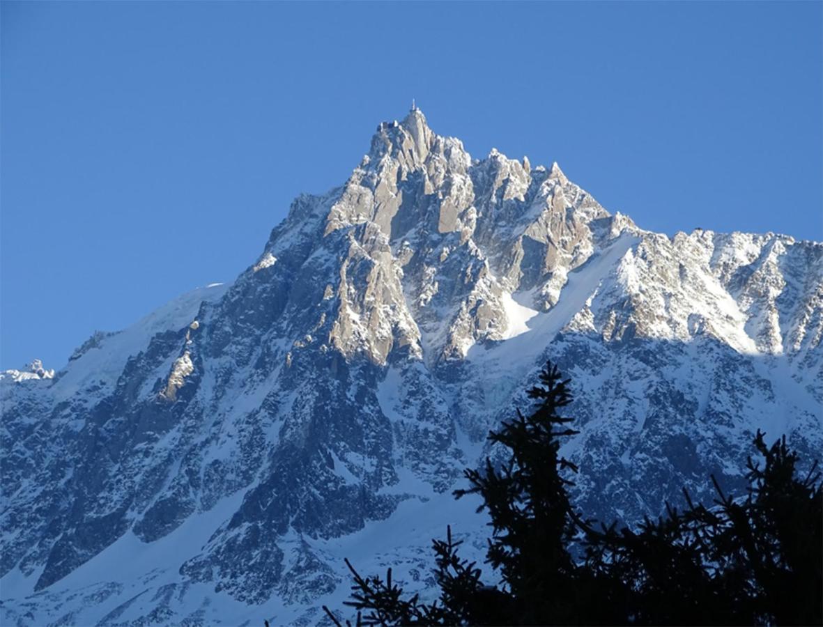 ホテル Chalet La Barme Les Houches Vallee De Chamonix エクステリア 写真